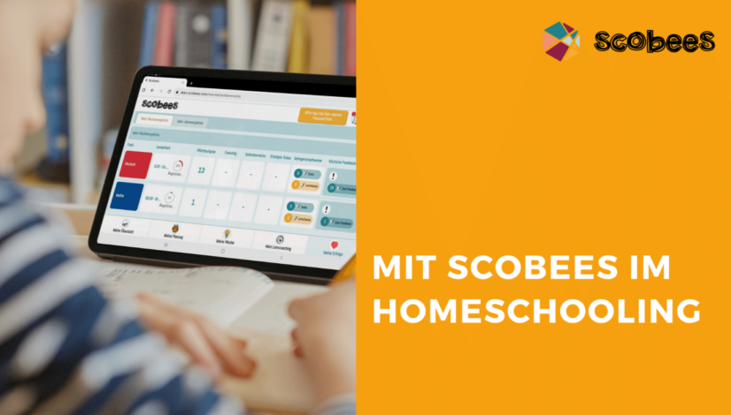 Blogbeitrag Titelbild zum Thema Homeschooling mit Scobees