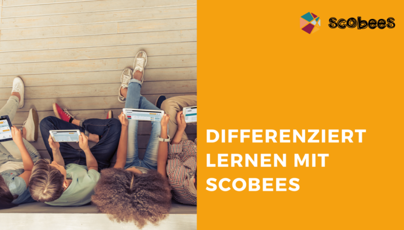 Titelbild zum Thema Differenziert lernen mit Scobees"